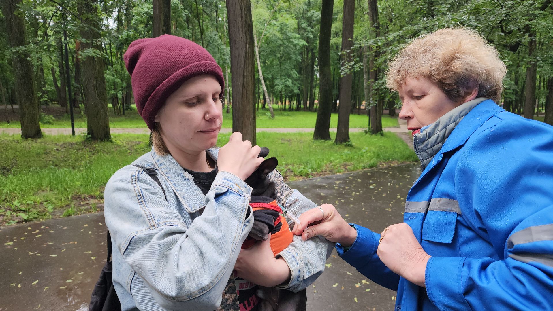 ветеринарная служба, животные, вакцинация животных, чипирование собак, лосино-петровский,