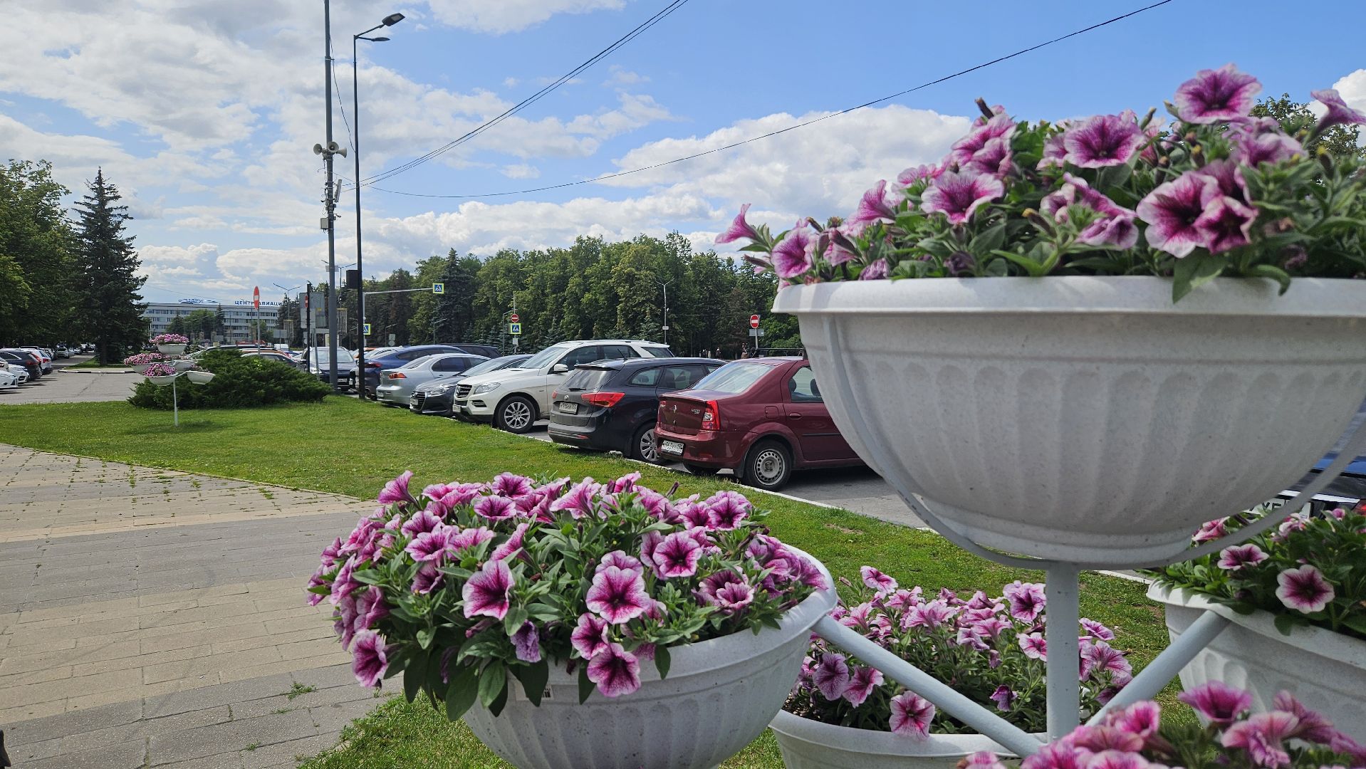 цветы, озеленение, жуковский, вечный огонь,