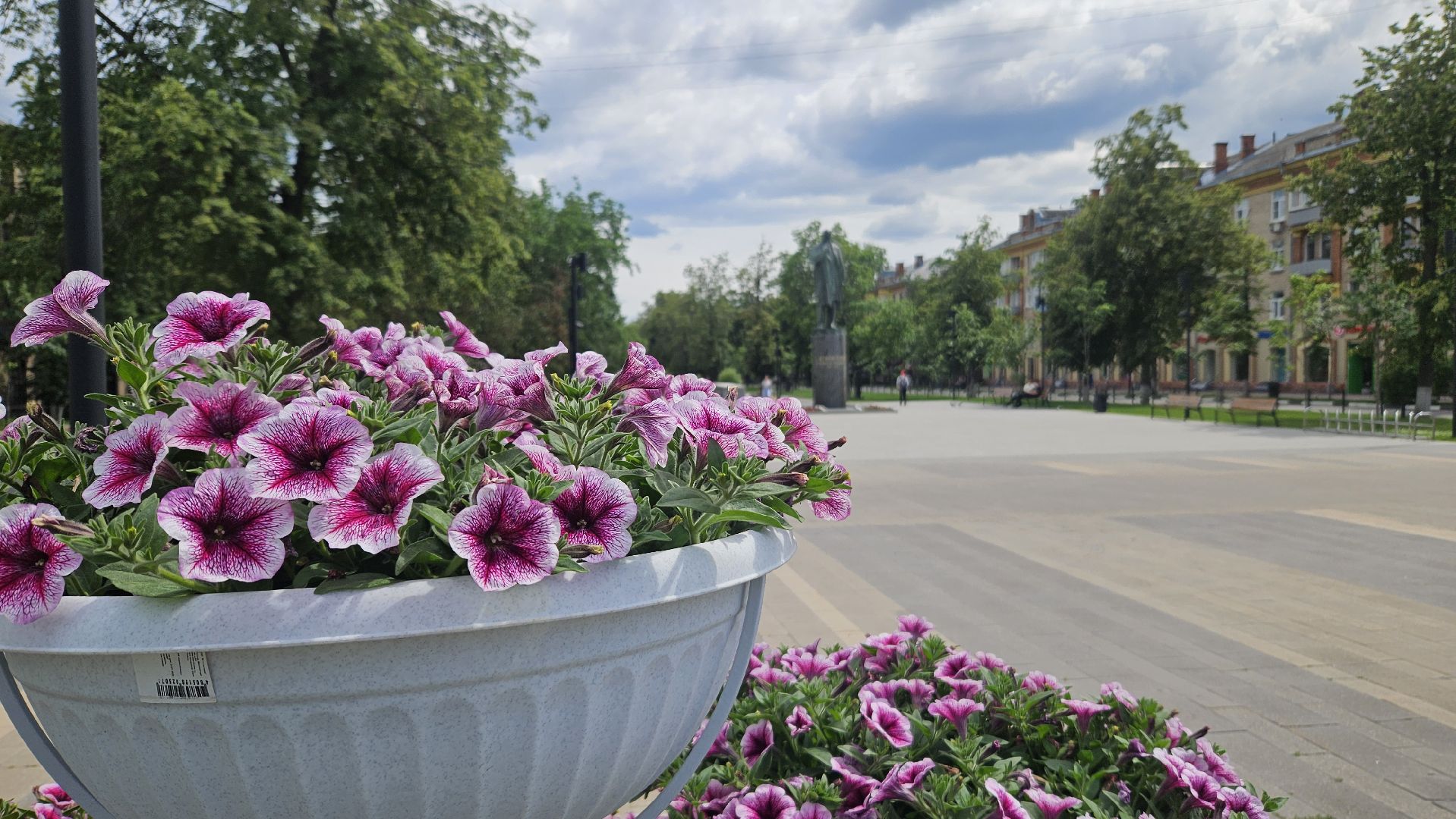 цветы, озеленение, жуковский, вечный огонь,