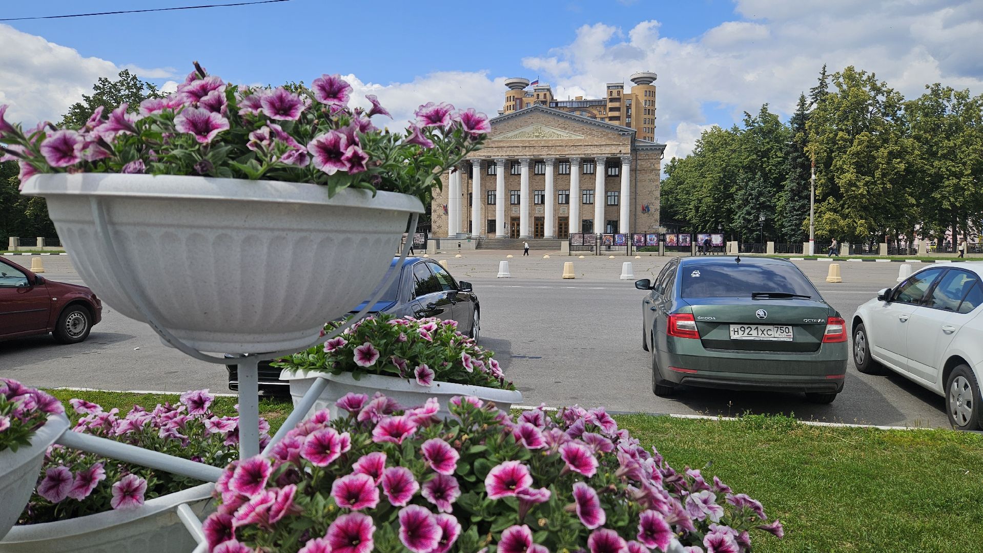 цветы, озеленение, жуковский, вечный огонь,