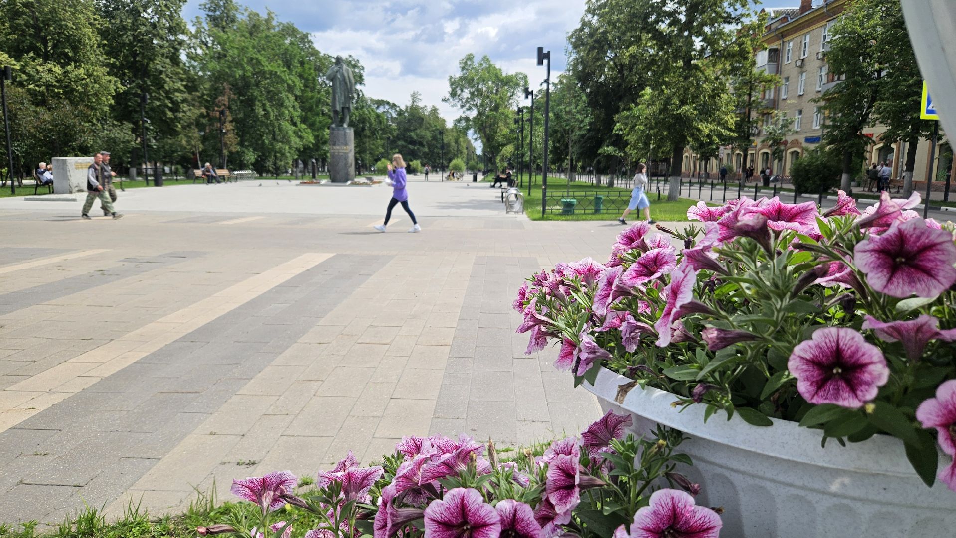 цветы, озеленение, жуковский, вечный огонь,