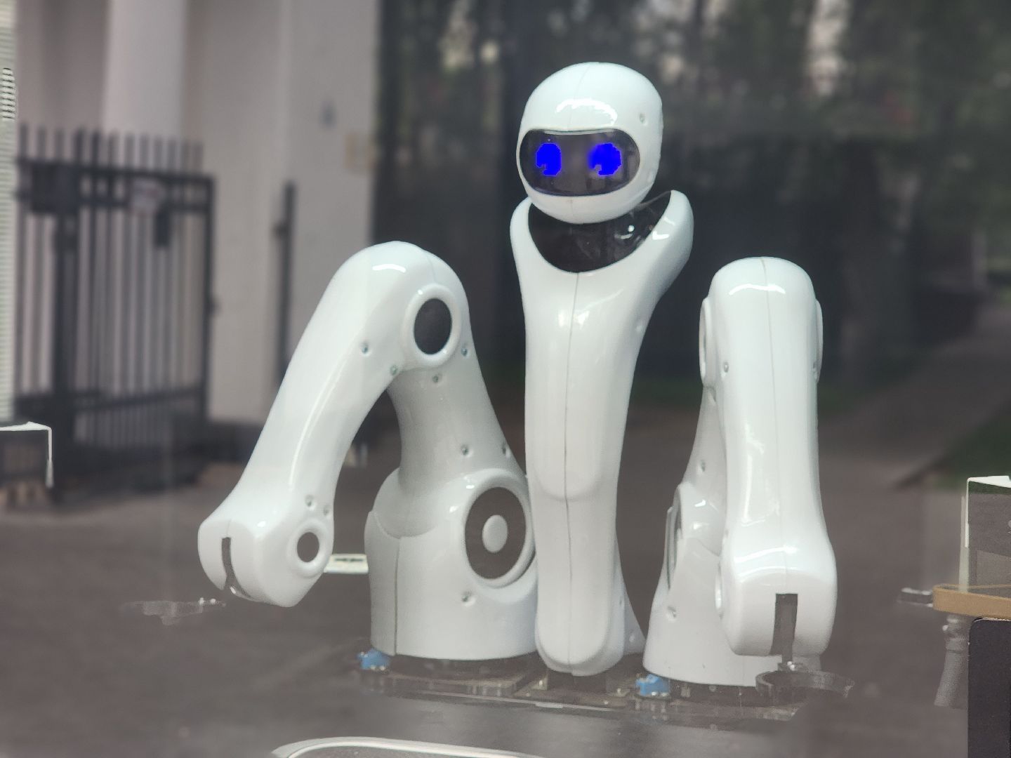 королёв, центральный городской парк , благоустройство , робот-бариста,