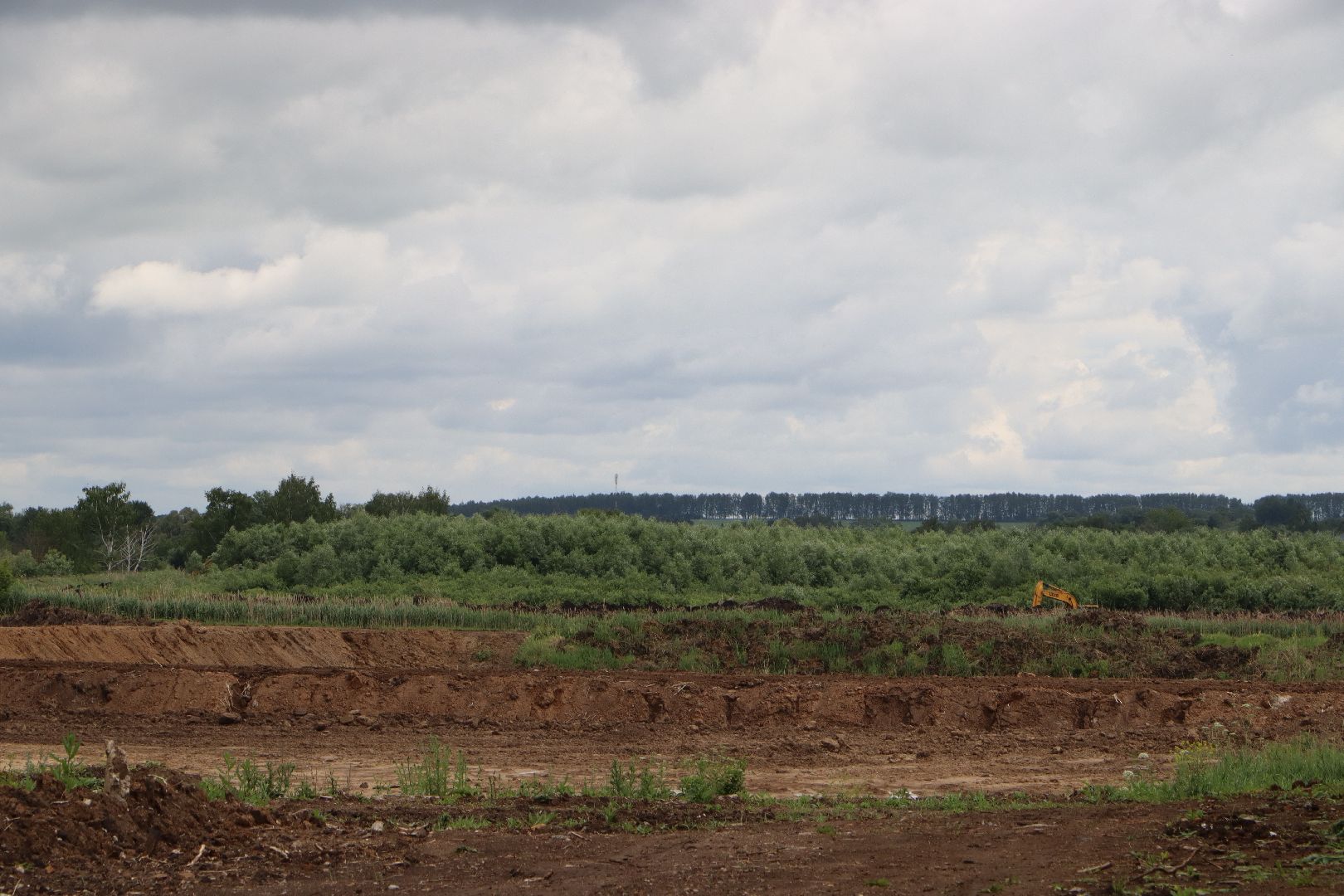 серебряные пруды, осетровая ферма, голдфиш,
