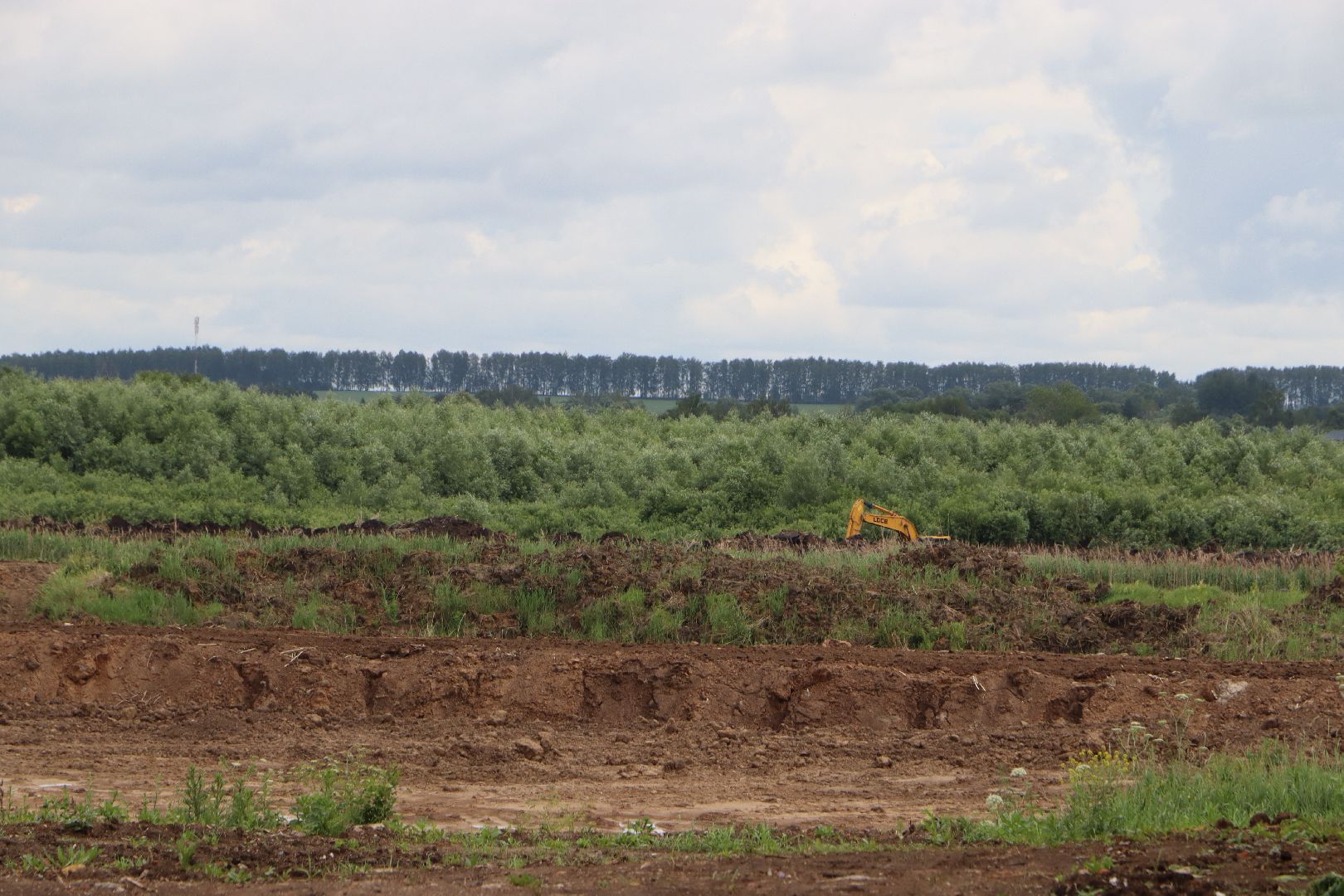 серебряные пруды, осетровая ферма, голдфиш,