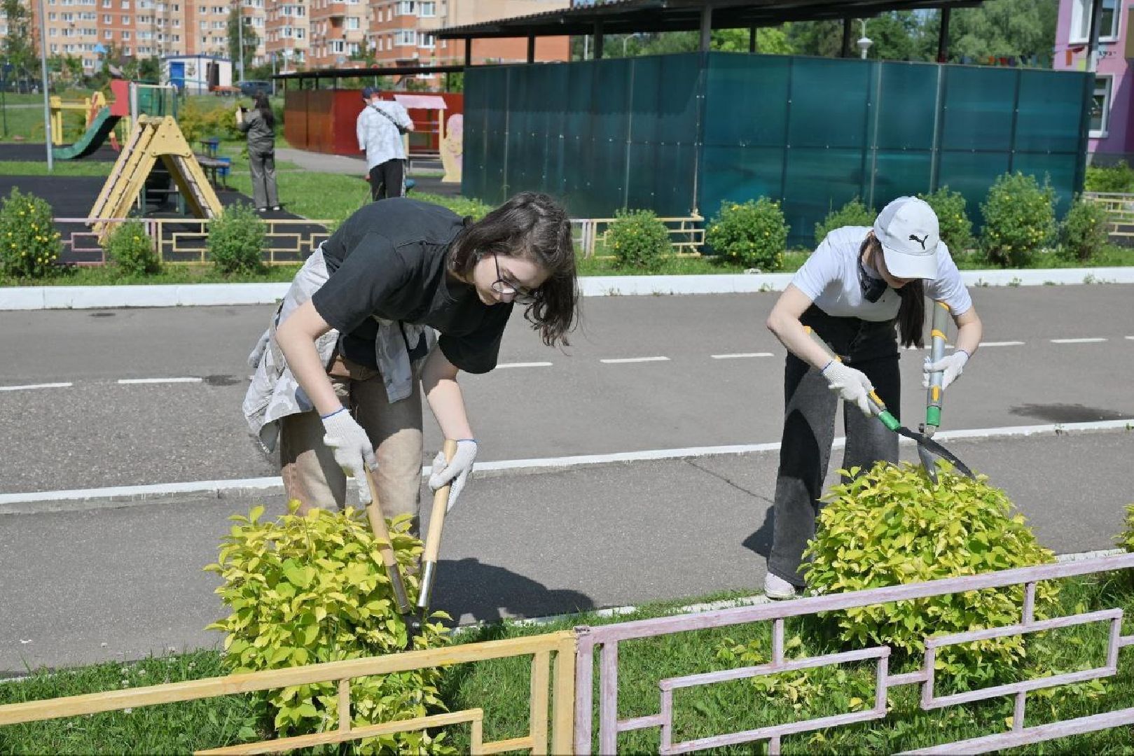 трудовые бригады попова,  школа попова, трудовые бригады лето, власиха школа попова,