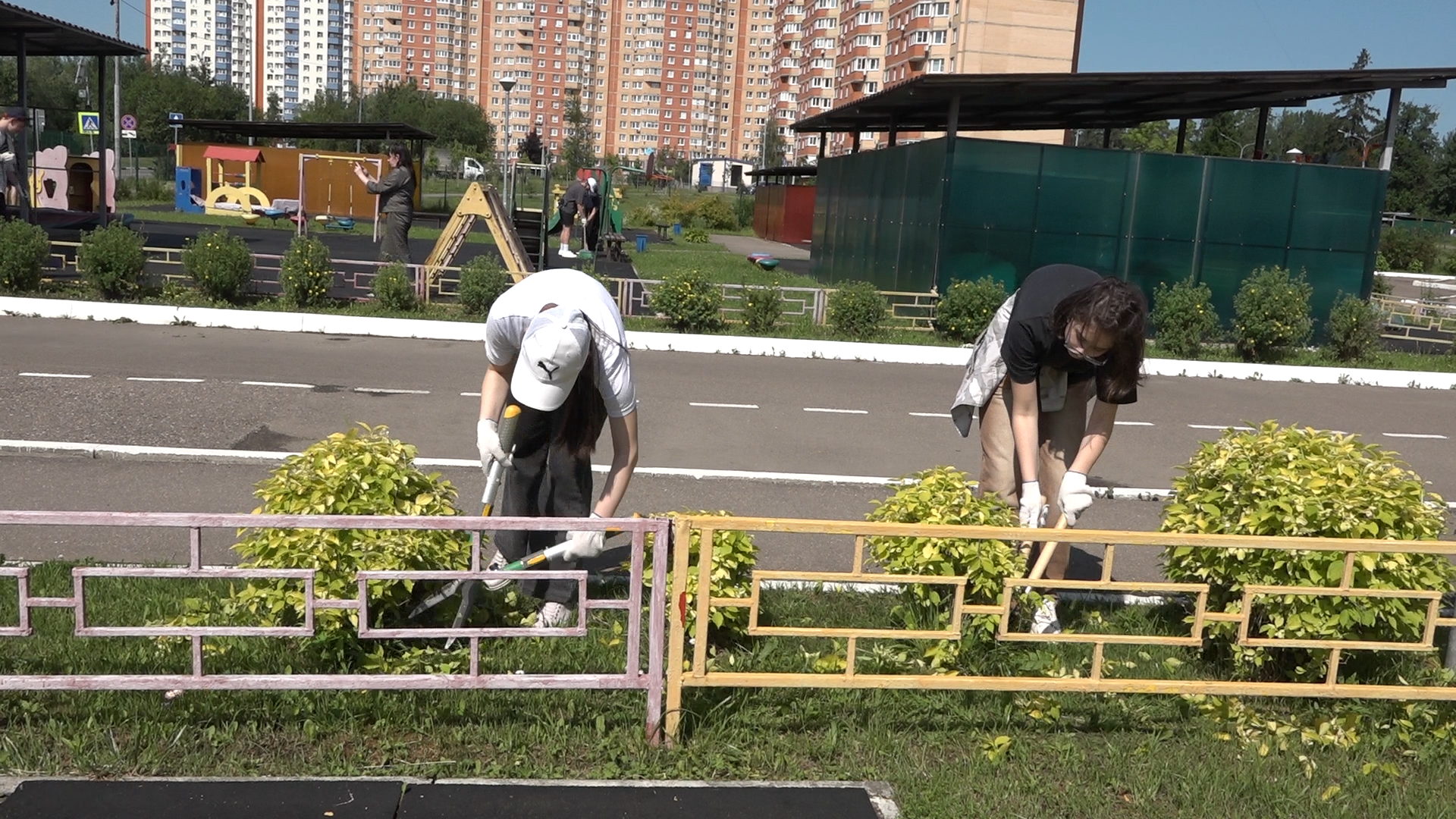 трудовые бригады попова,  школа попова, трудовые бригады лето, власиха школа попова,