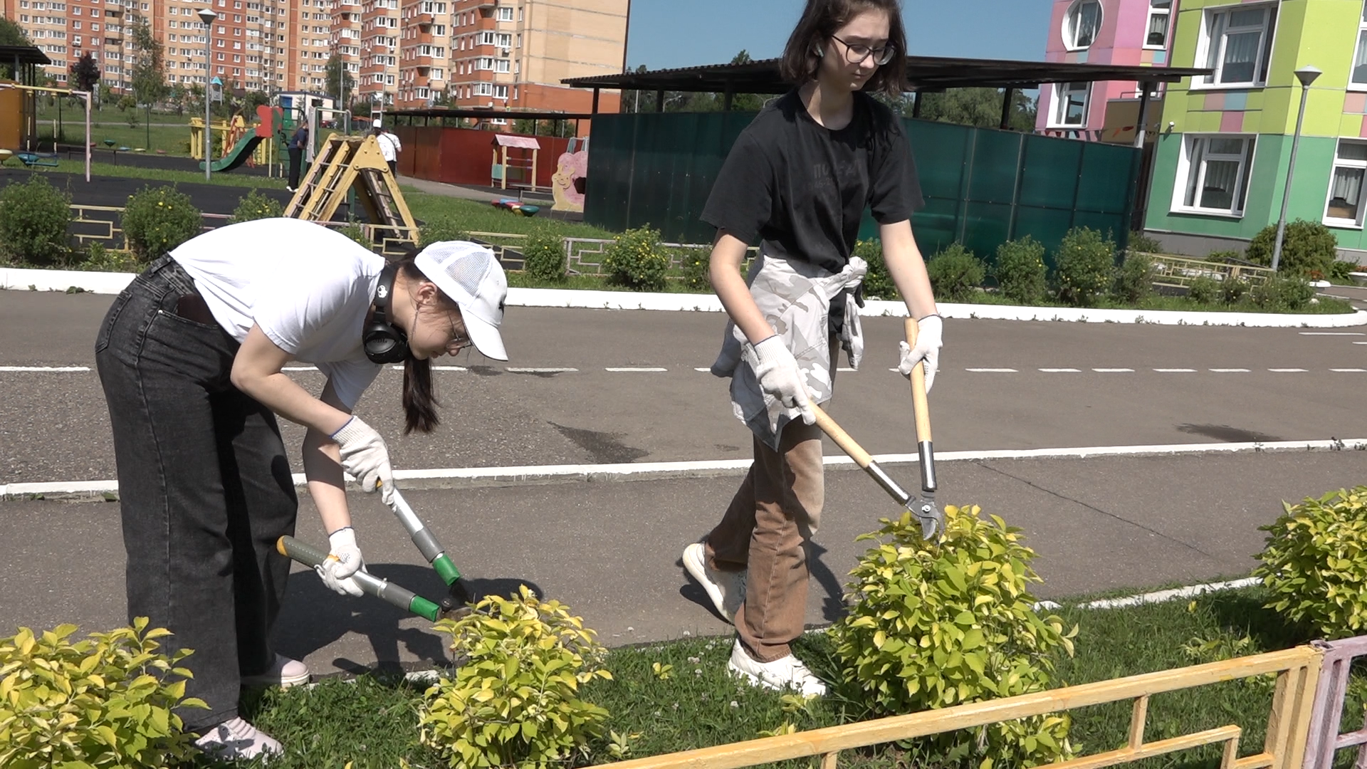 трудовые бригады попова,  школа попова, трудовые бригады лето, власиха школа попова,