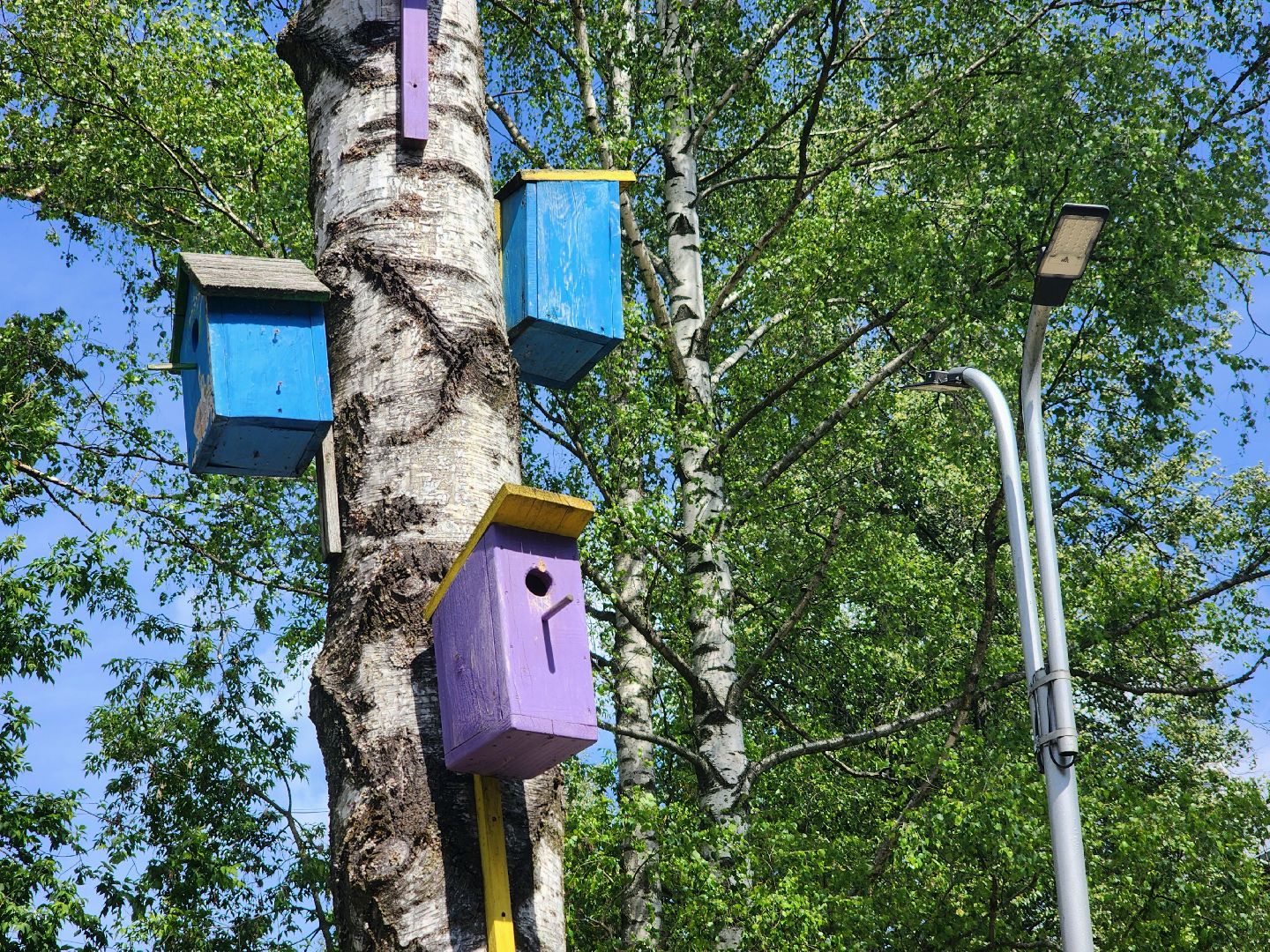 дубна, центр дружба, благоустройство,