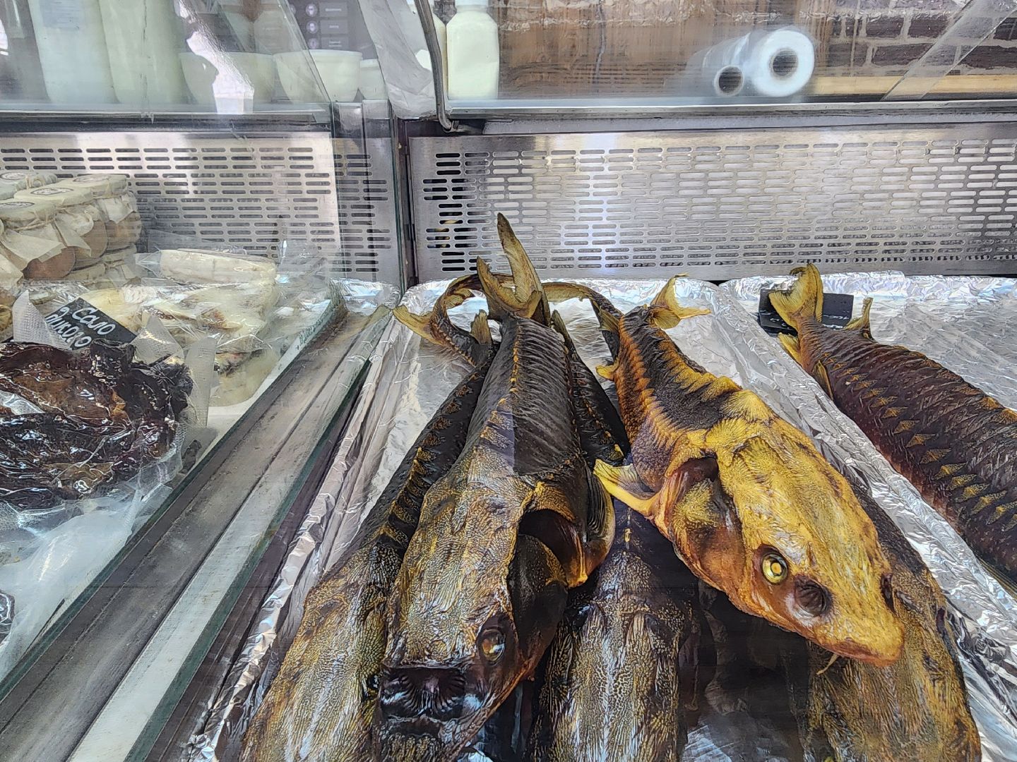 Зарайск, Город на Осетре, Осетровая ферма,осетр,