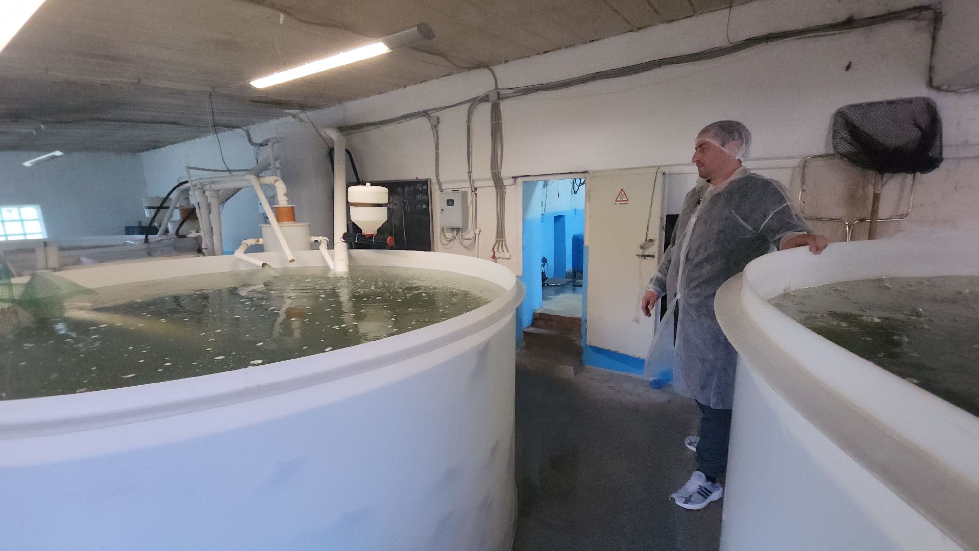 Зарайск, Город на Осетре, Осетровая ферма,осетр,