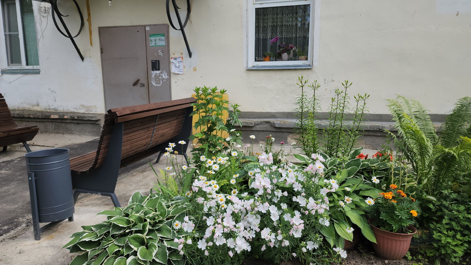 благоустройство дворов, орехово-зуевский округ,