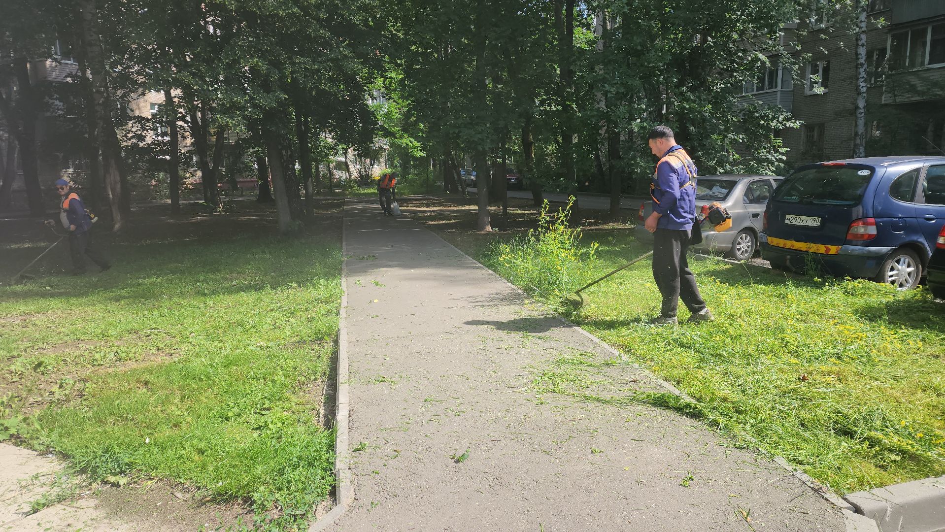 вертикалки, пушкино, покос травы, коммунальная служба, придомовая территория,газонокосилка,