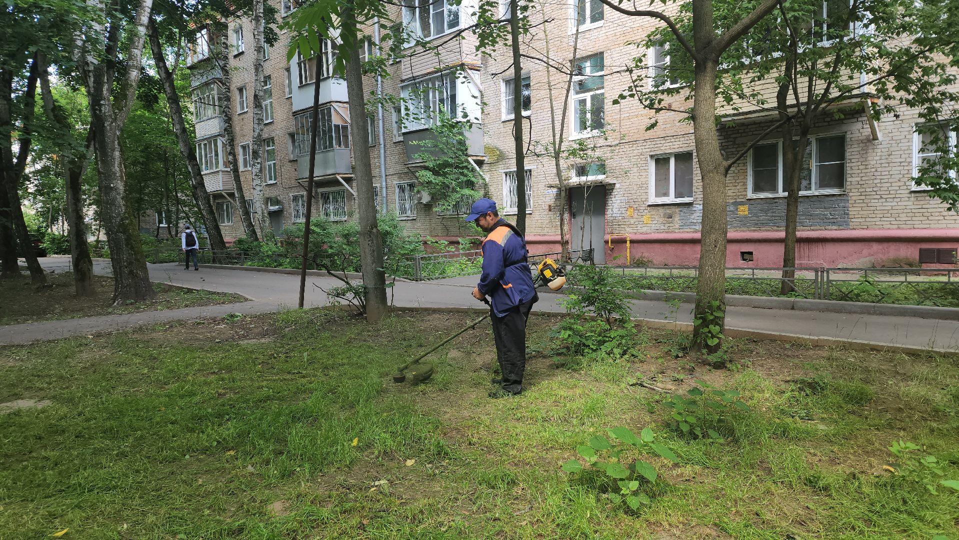 вертикалки, пушкино, покос травы, коммунальная служба, придомовая территория,газонокосилка,