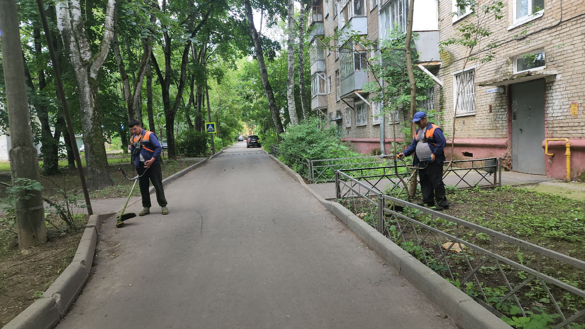 вертикалки, пушкино, покос травы, коммунальная служба, придомовая территория,газонокосилка,