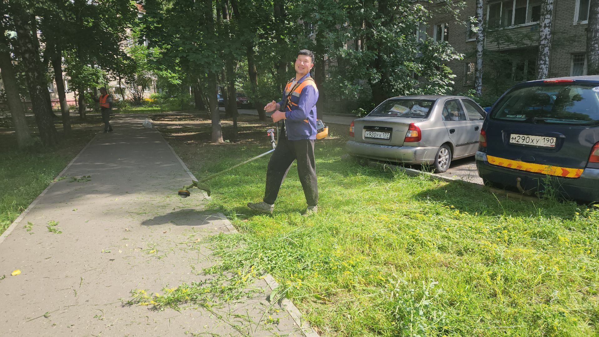 вертикалки, пушкино, покос травы, коммунальная служба, придомовая территория,газонокосилка,