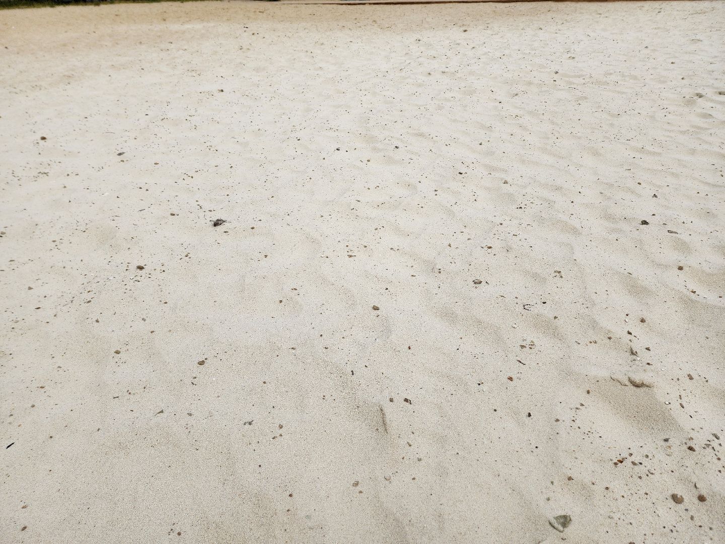 солнечногорск, лето, сенеж, пляж, озеро,