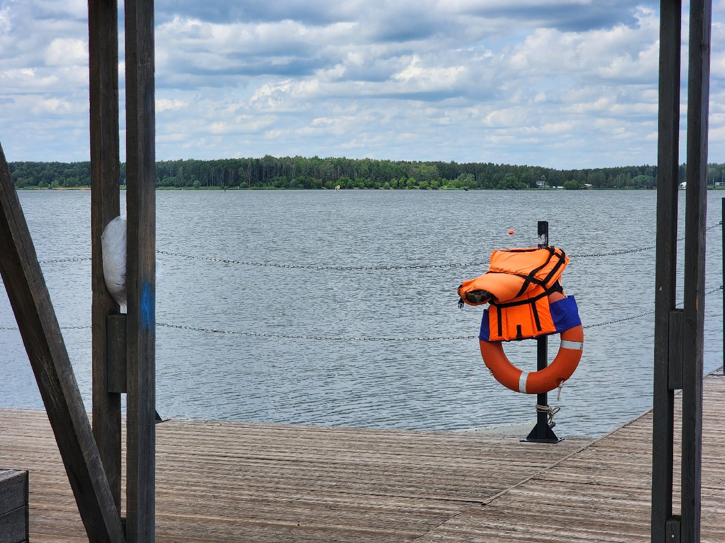 солнечногорск, лето, сенеж, пляж, озеро,