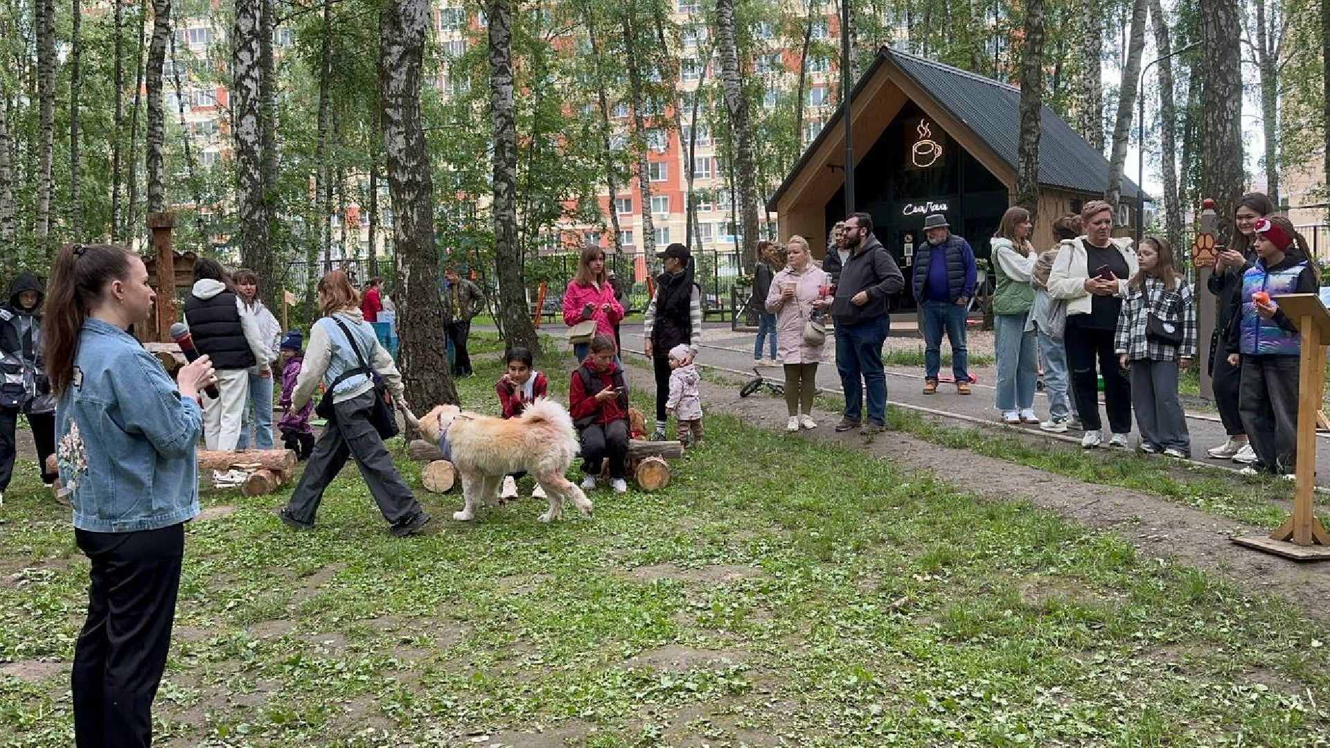 домодедово, парки, уход за животными,