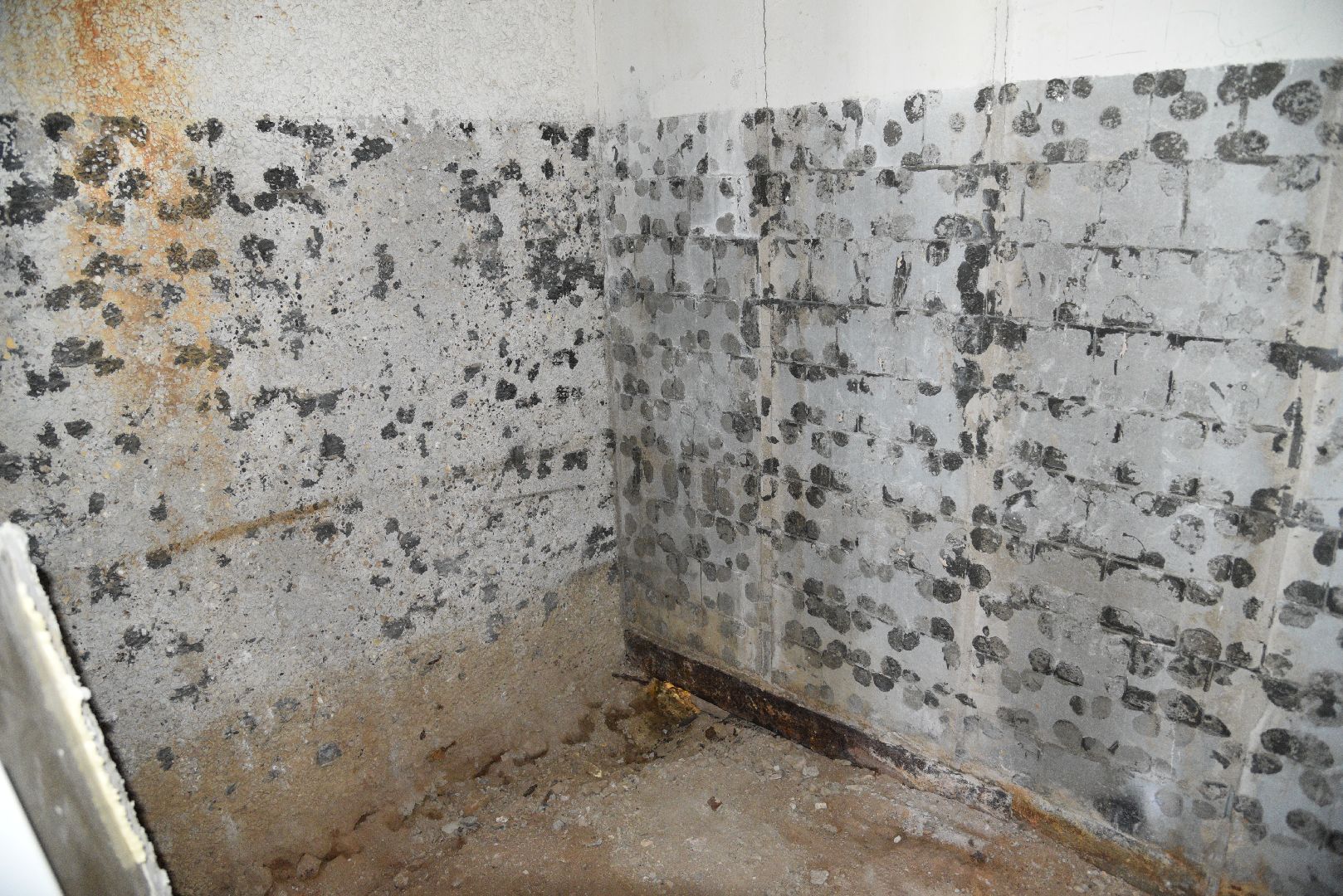 лотошино, лотошинская школа 1, образование, ремонт,