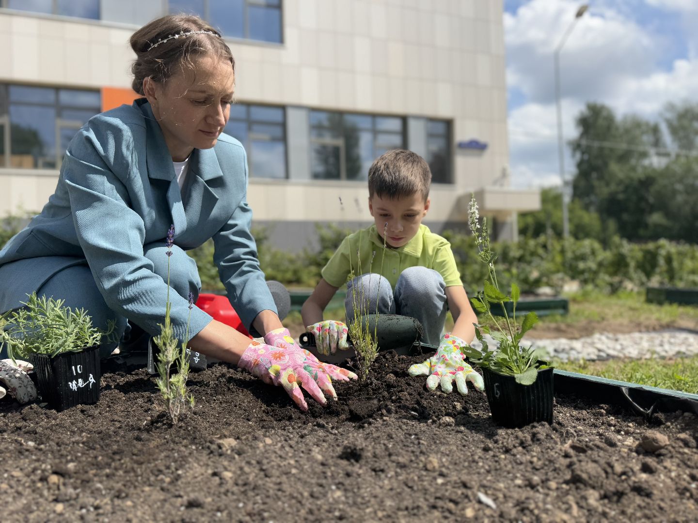 Гимназия 1 им Героя Российской Федерации А.В. Баландина, Балашиха, аптекарский огород,
