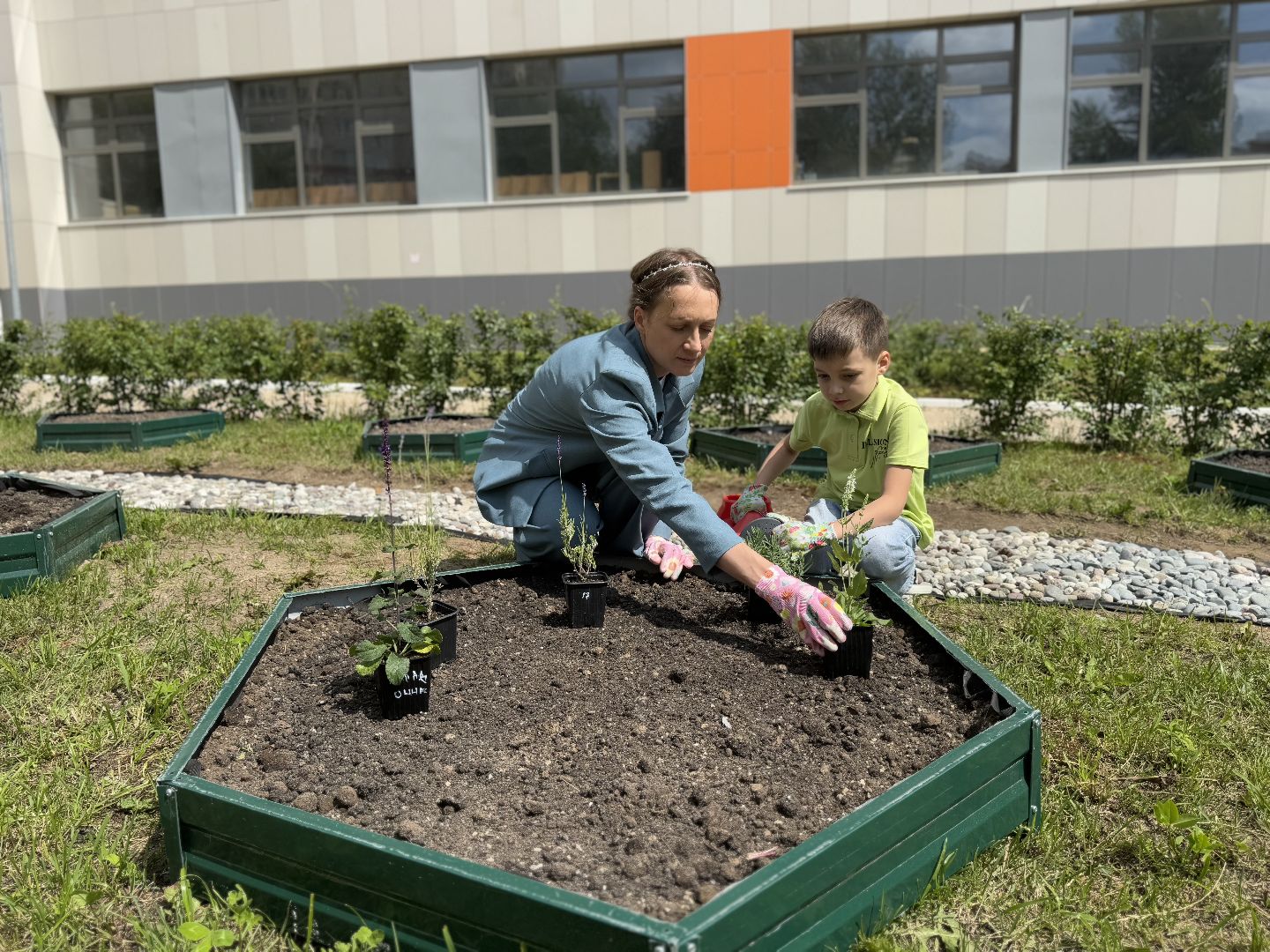 Гимназия 1 им Героя Российской Федерации А.В. Баландина, Балашиха, аптекарский огород,