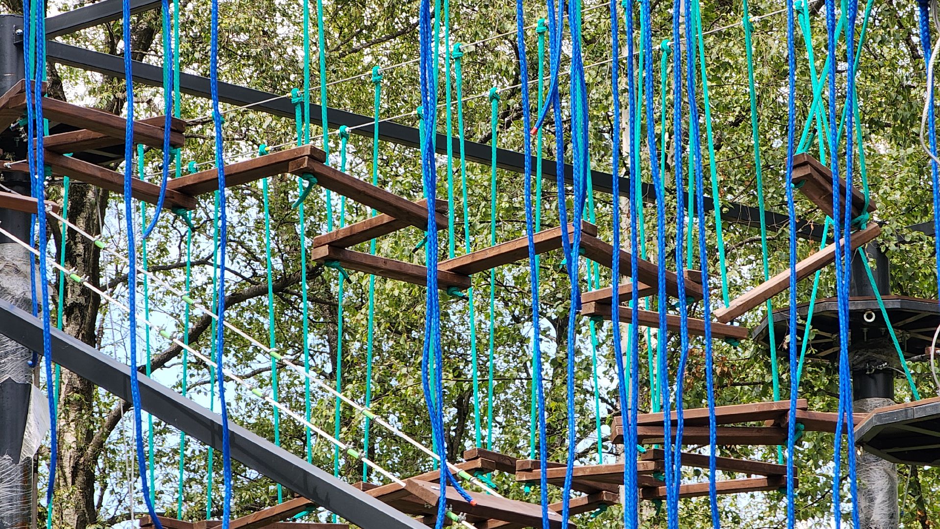 веревочный парк, Панда-парк, Лобня,