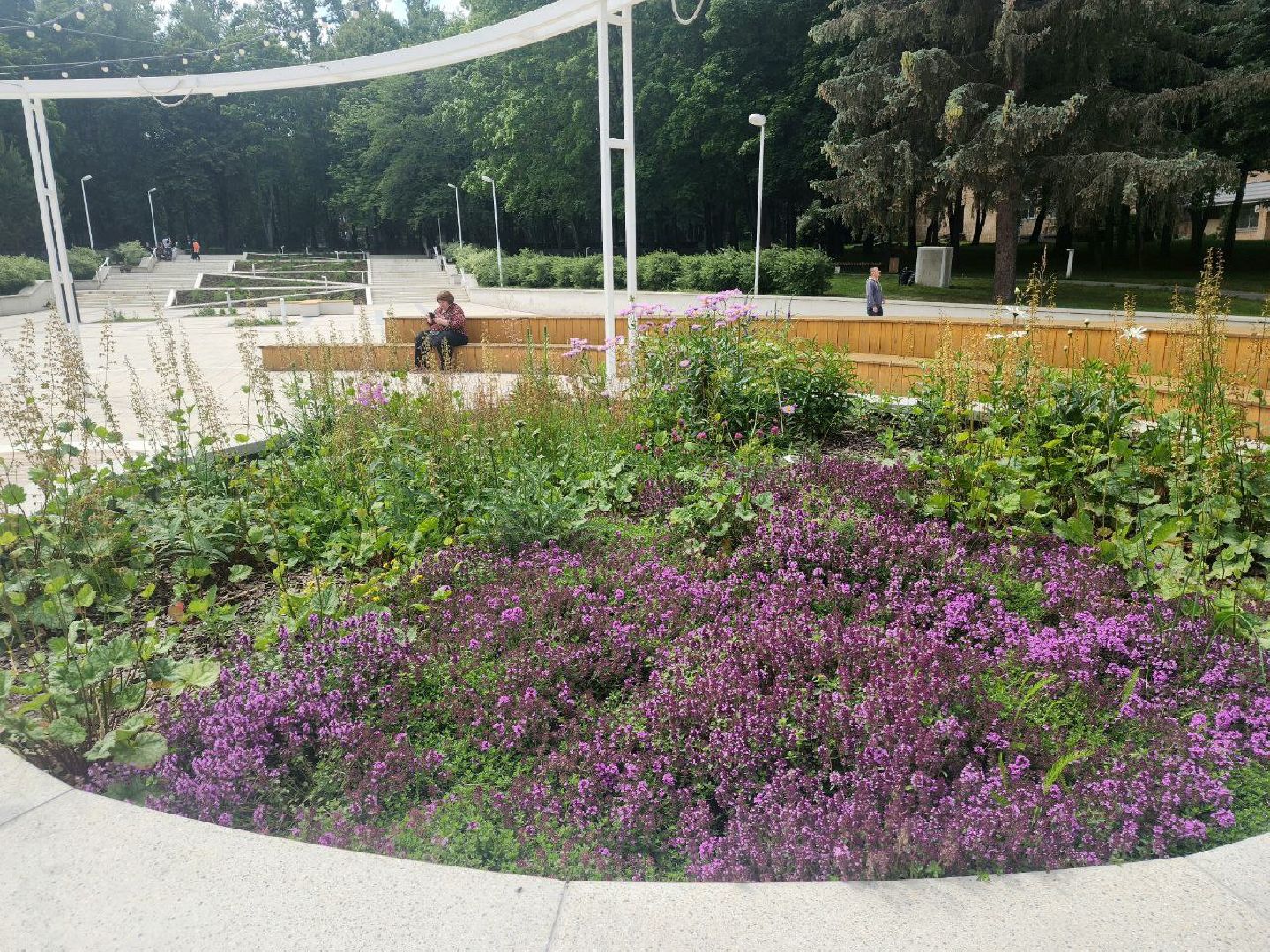 пущино, серпухов,  благоустройство,