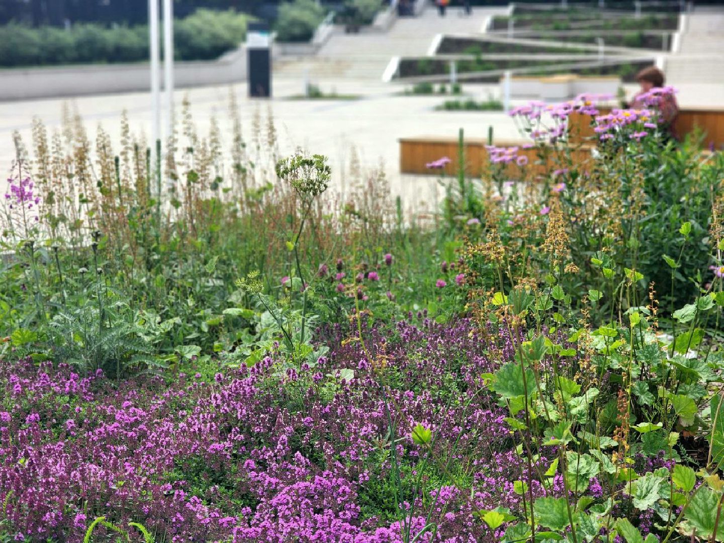 пущино, серпухов,  благоустройство,