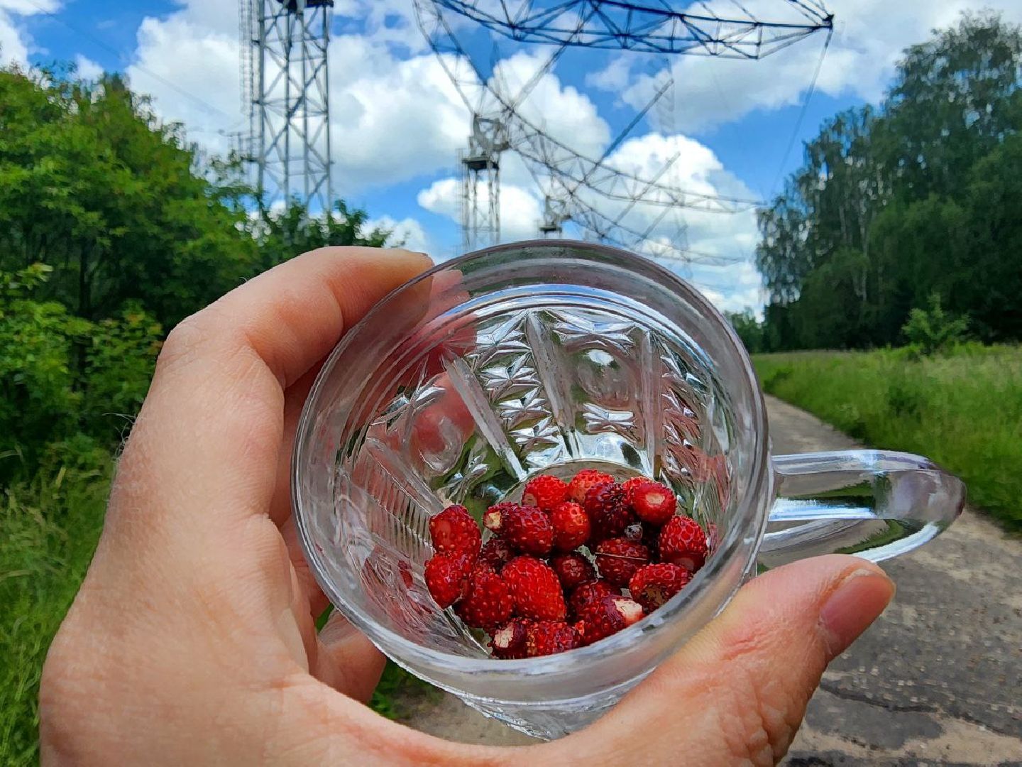 пущино, серпухов, лето в подмосковье, ягодный сезон,