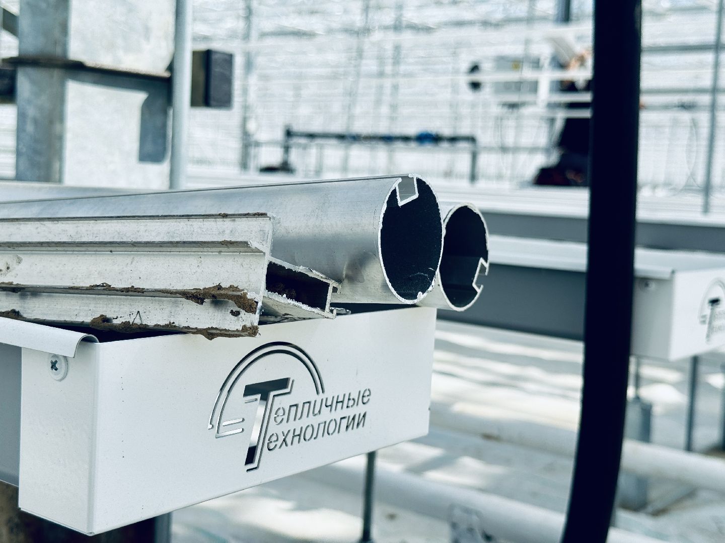 раменское, розы, подосинки, тепличный комплекс, производство, цветы,