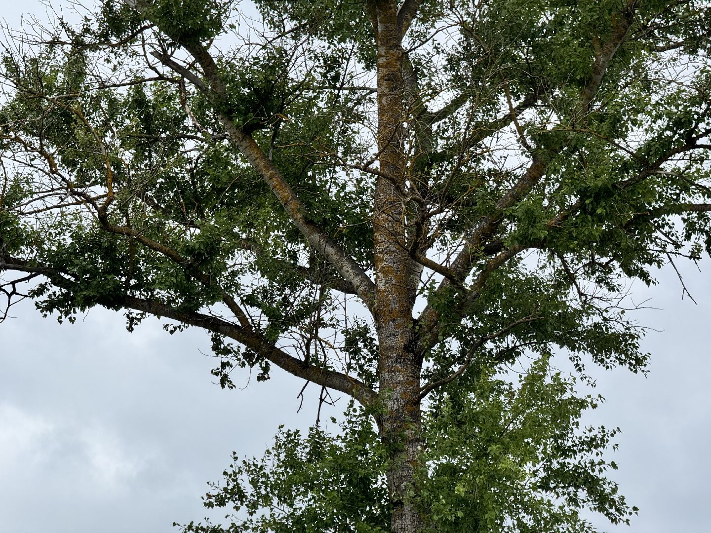 шаховская, выездная администиация, благоустройство,