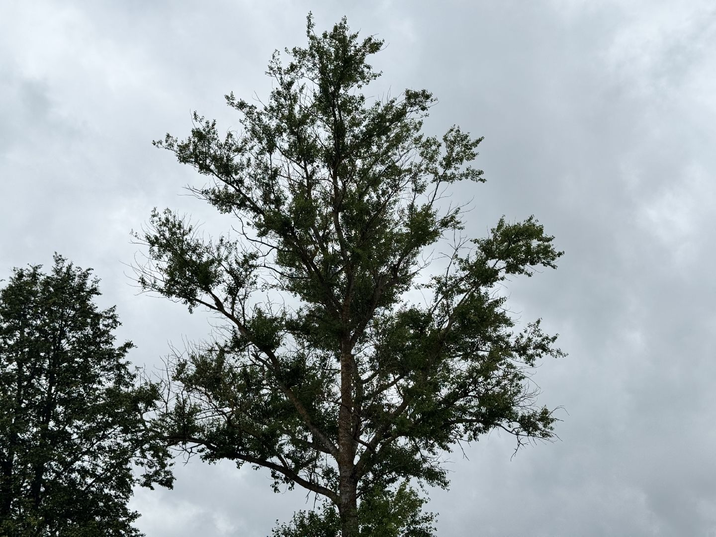 шаховская, выездная администиация, благоустройство,