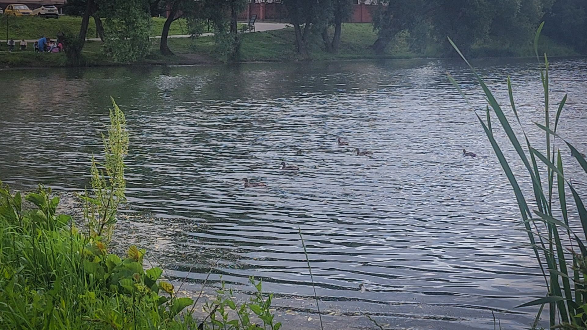 бронницы, плавучие домики для птиц, утиные домики в бронницах,