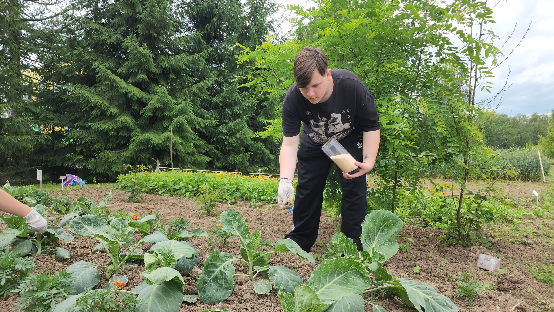 ступино, агроклассы, сельское хозяйство, образование,