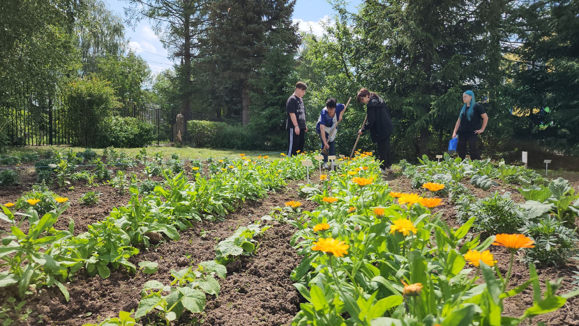 ступино, агроклассы, сельское хозяйство, образование,