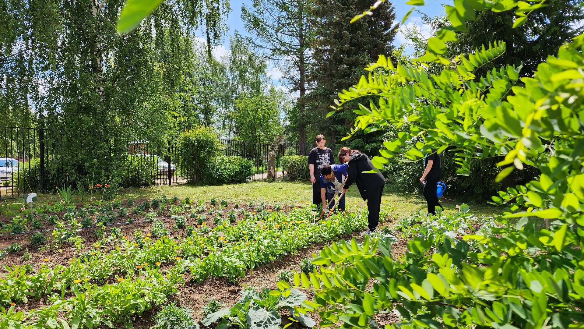 ступино, агроклассы, сельское хозяйство, образование,