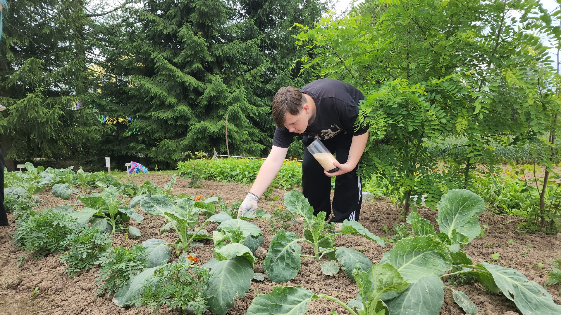 ступино, агроклассы, сельское хозяйство, образование,