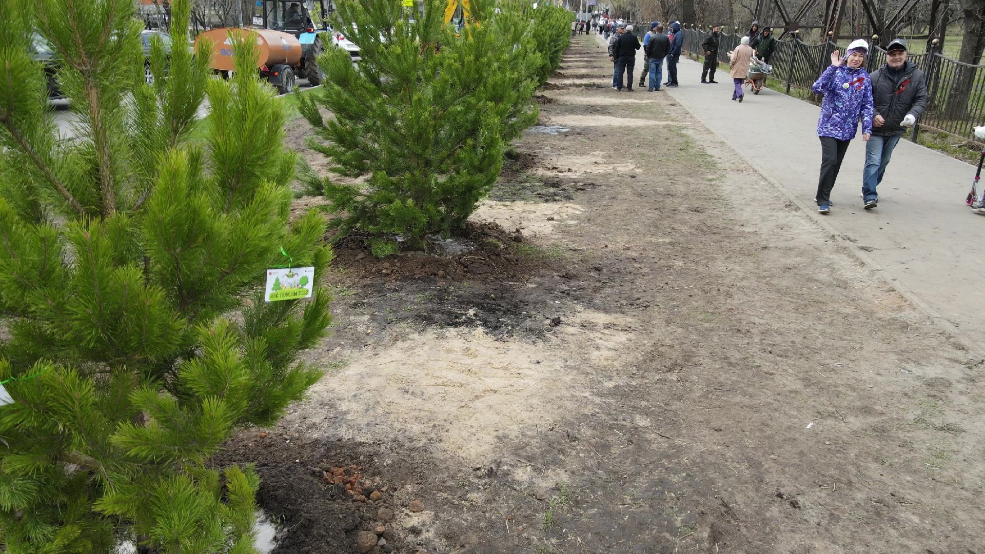 Реутов, Лес Победы, деревья, благоустройство, посади своё дерево