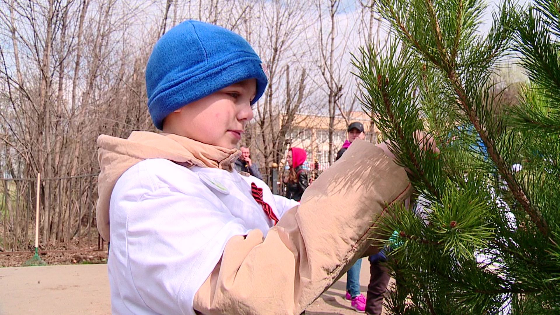 Реутов, Лес Победы, деревья, благоустройство, посади своё дерево