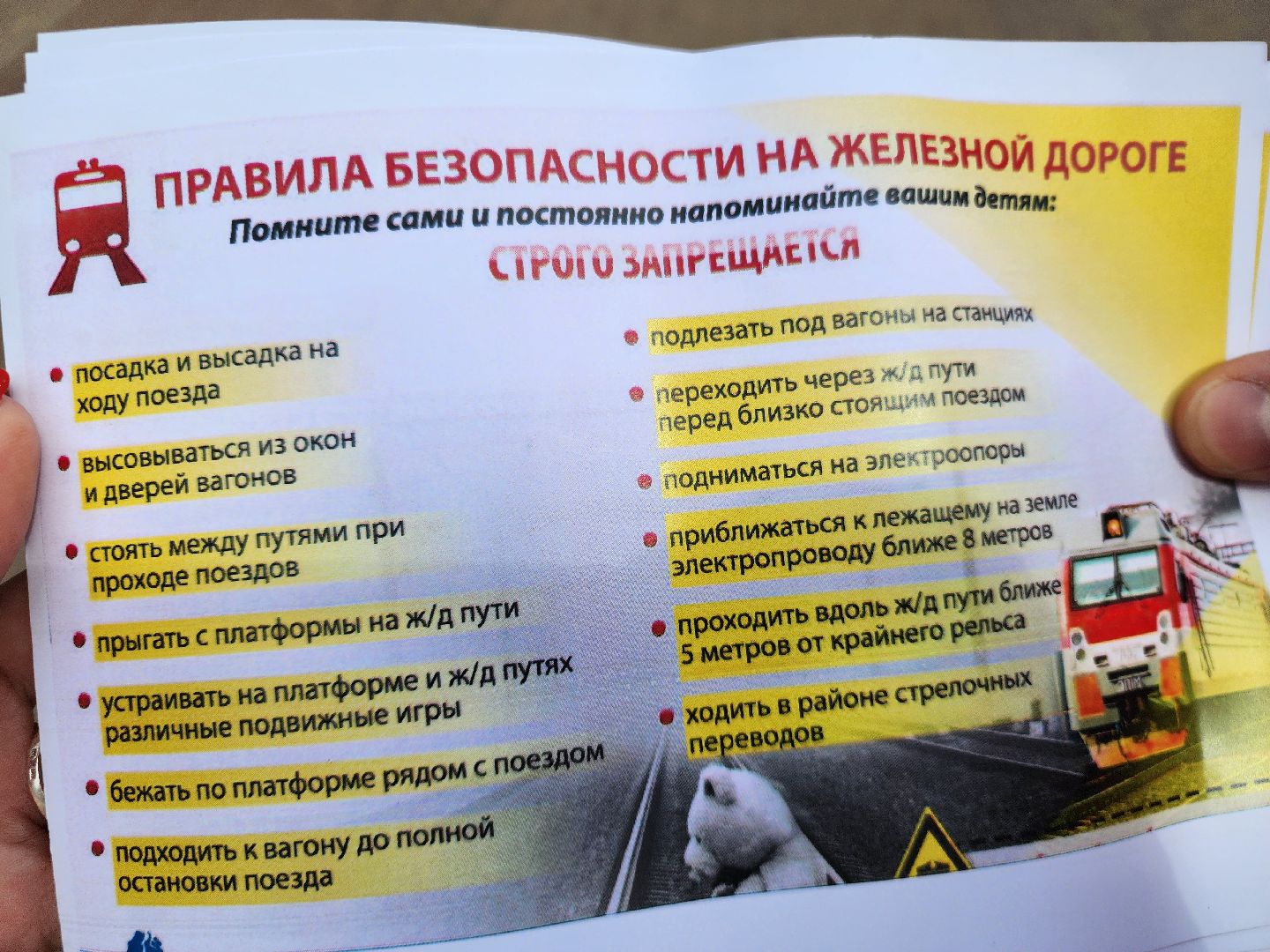 подольск, безопасность, дети,