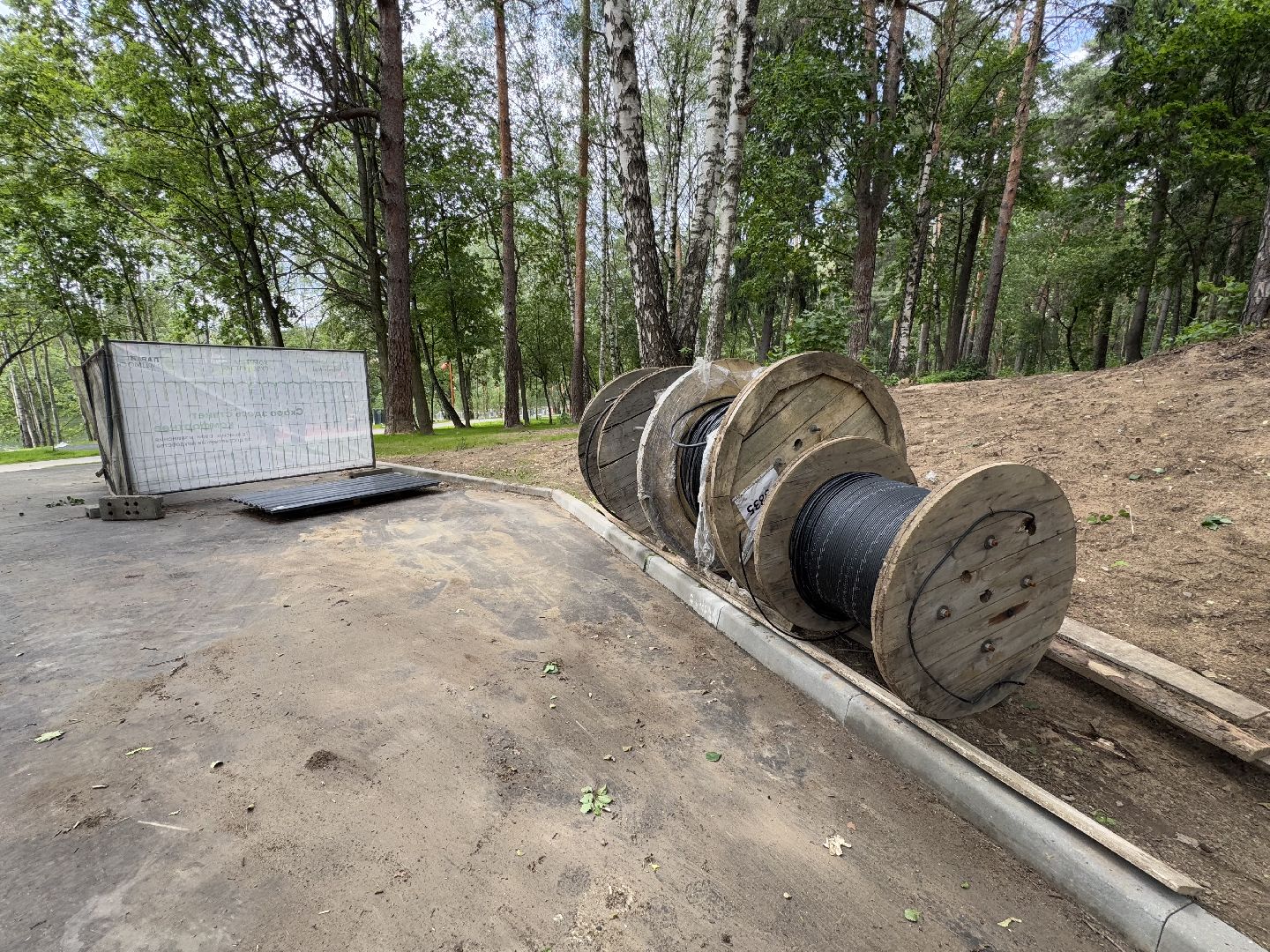 балашиха, кучинский лесопарк, благоустройство, первый этап,