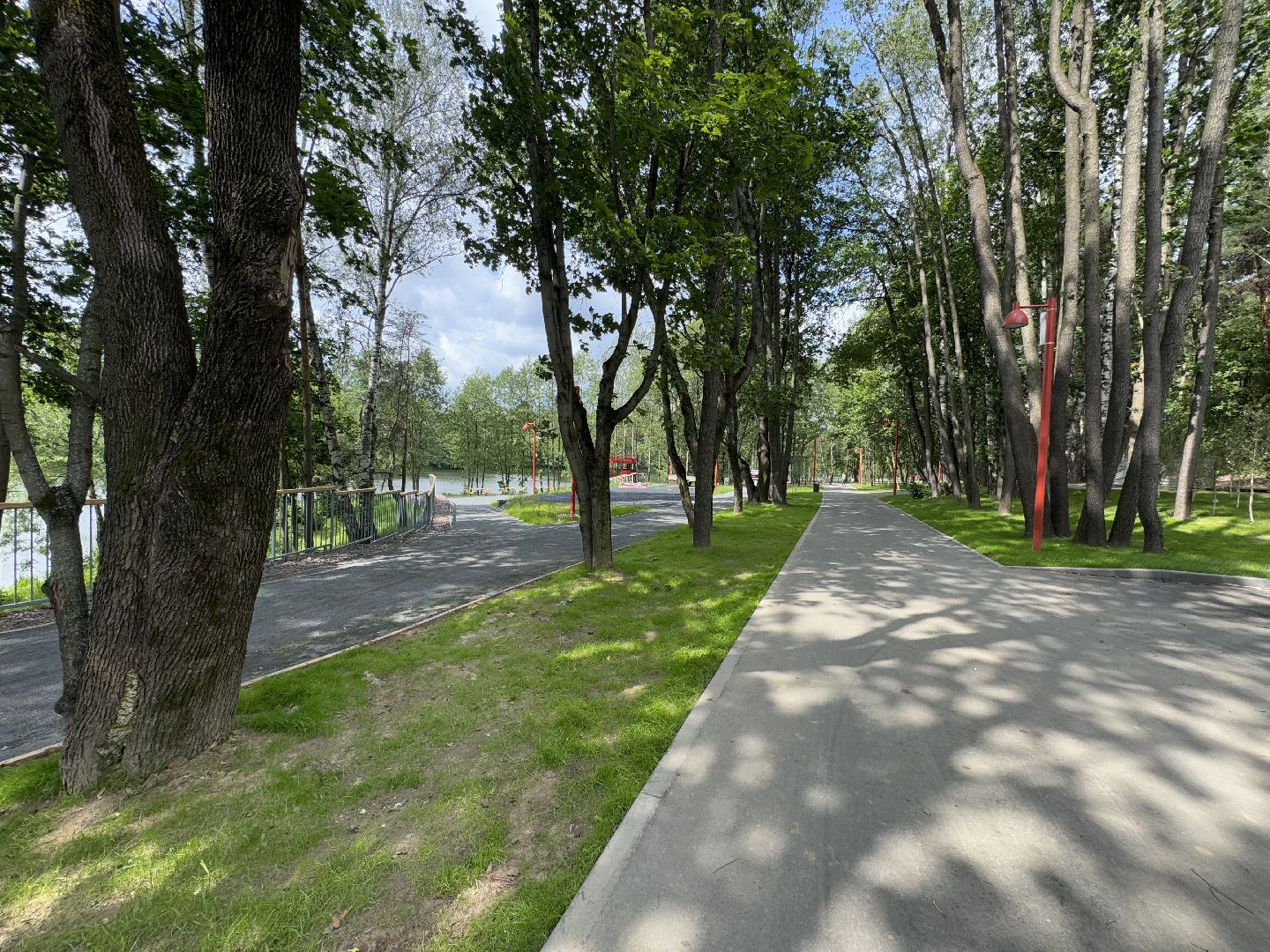 балашиха, кучинский лесопарк, благоустройство, первый этап,