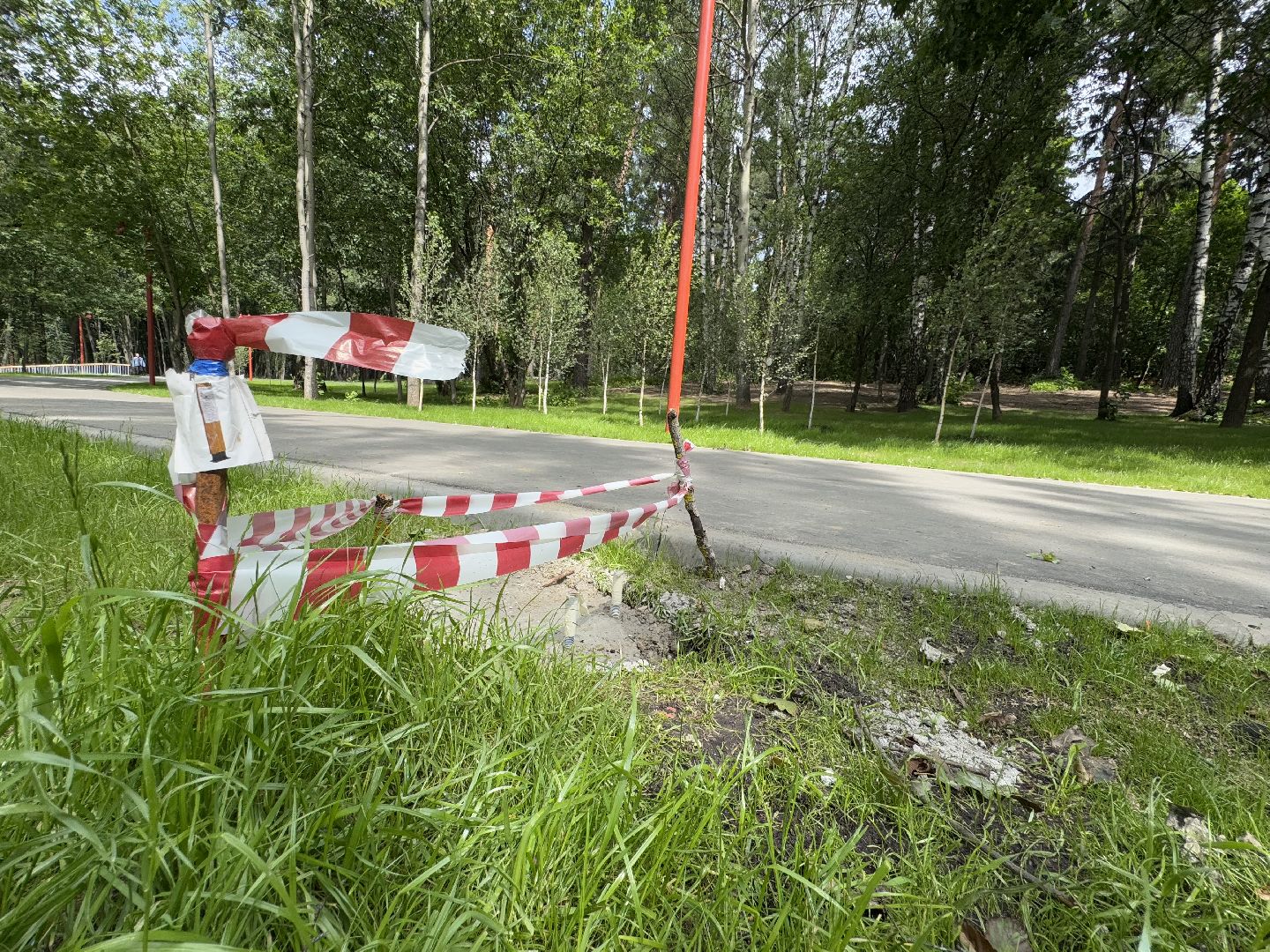 балашиха, кучинский лесопарк, благоустройство, первый этап,