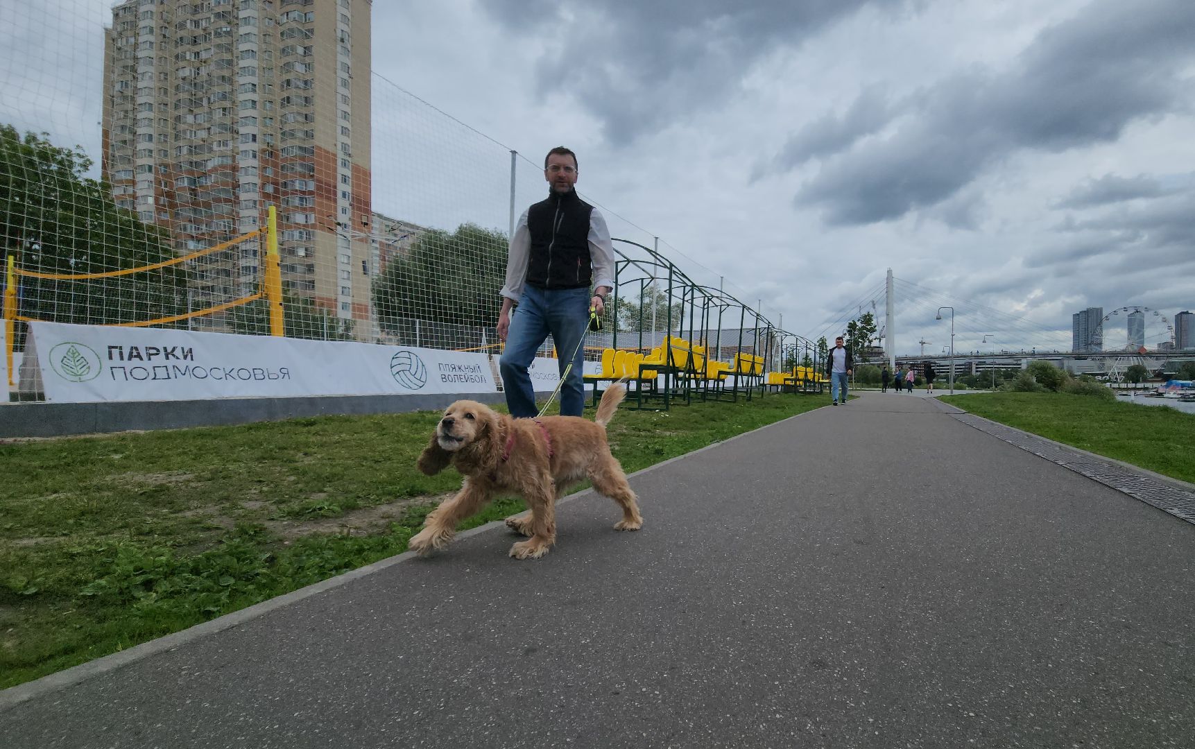 пляжный волейбол, павшинская пойма, красногорск,