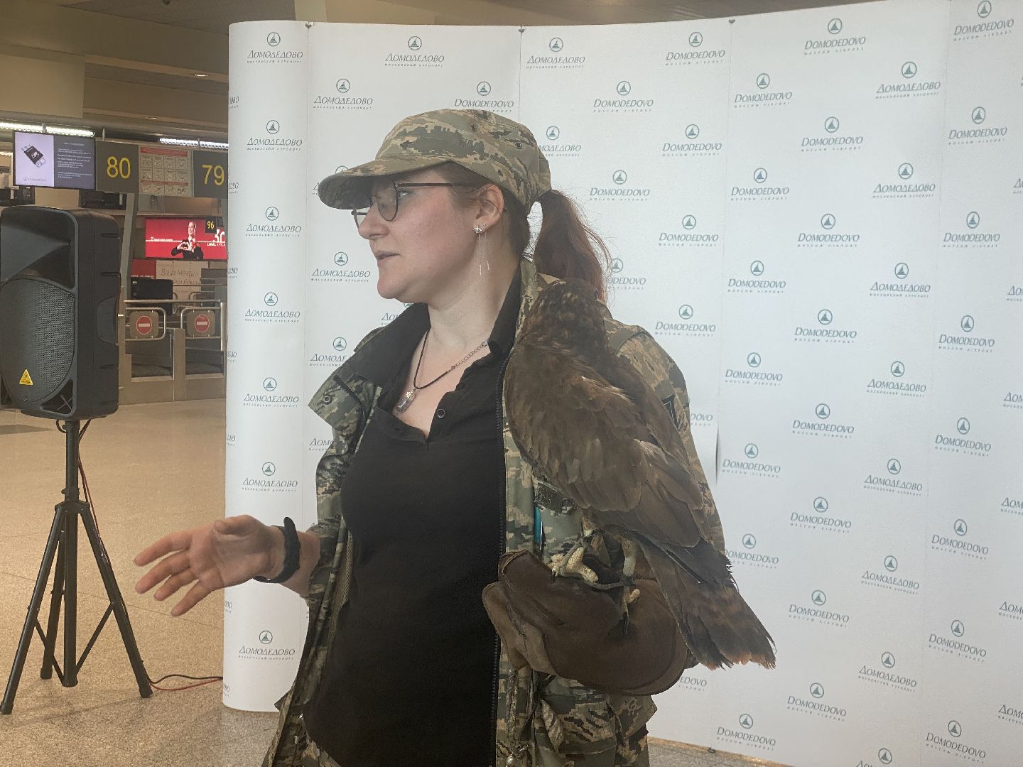 домодедово , подмосковье, аэропорт , аэропорт домодедово, ястреб , птицы, двигатель , самолет , авиация, авиационная безопасность ,