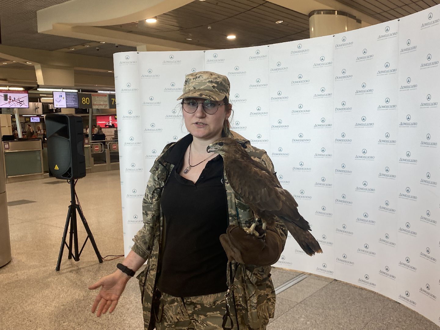 домодедово , подмосковье, аэропорт , аэропорт домодедово, ястреб , птицы, двигатель , самолет , авиация, авиационная безопасность ,