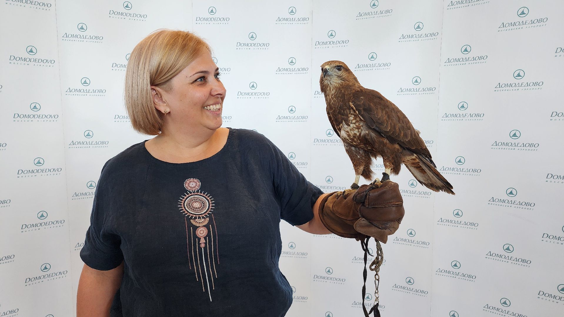 домодедово , подмосковье, аэропорт , аэропорт домодедово, ястреб , птицы, двигатель , самолет , авиация, авиационная безопасность ,