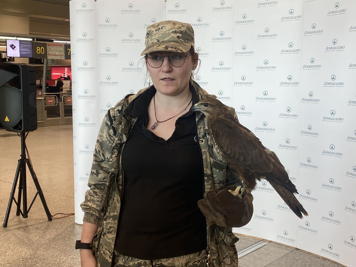 домодедово , подмосковье, аэропорт , аэропорт домодедово, ястреб , птицы, двигатель , самолет , авиация, авиационная безопасность ,