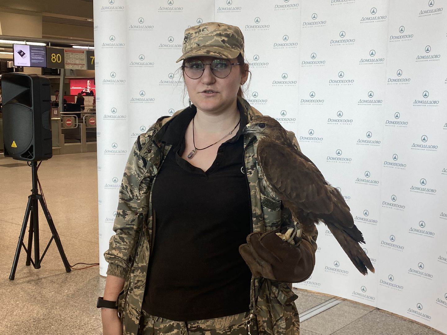 домодедово , подмосковье, аэропорт , аэропорт домодедово, ястреб , птицы, двигатель , самолет , авиация, авиационная безопасность ,