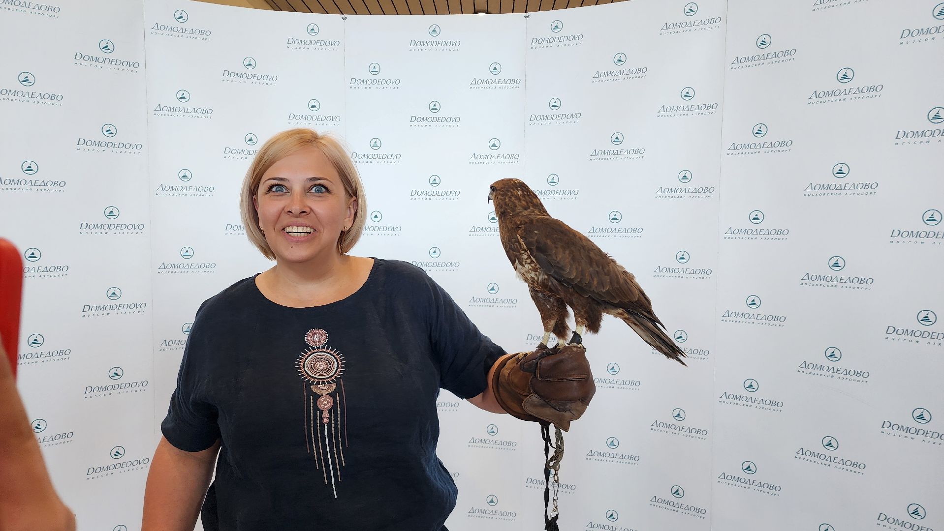 домодедово , подмосковье, аэропорт , аэропорт домодедово, ястреб , птицы, двигатель , самолет , авиация, авиационная безопасность ,